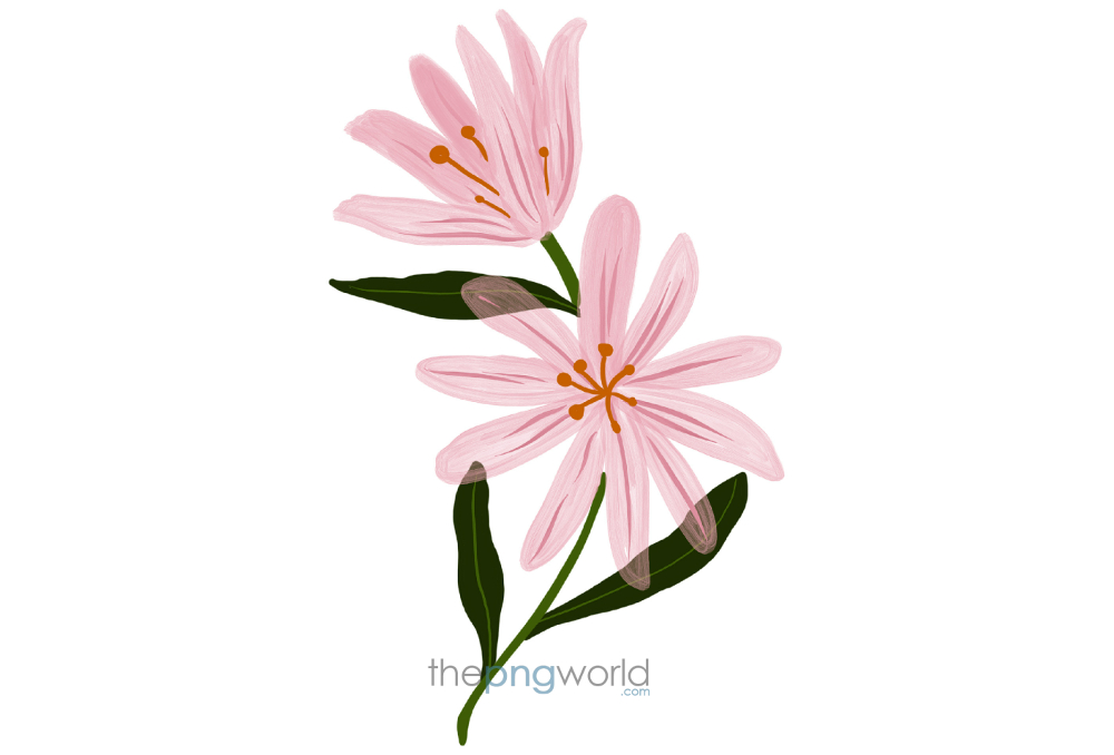 Download free Pink Flower with Petal Buds and leaves PNG Image pink flower,green leaves,flower png,flower,leaf,wallpaper,dp,photoshop,petals,buds